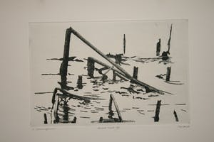 Willem Minderman - "Dood Riet" I t/m VI kopen? Bied vanaf 110!