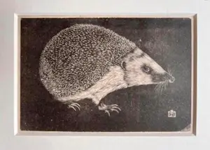 Jan Mankes - Originele Heliogravure Egel 1923 kopen? Bied vanaf 185!