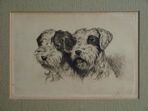 Niet of onleesbaar gesigneerd - Ingelijste ets , 2 Honden , 2 portretten - oud kopen? Bied vanaf 1!