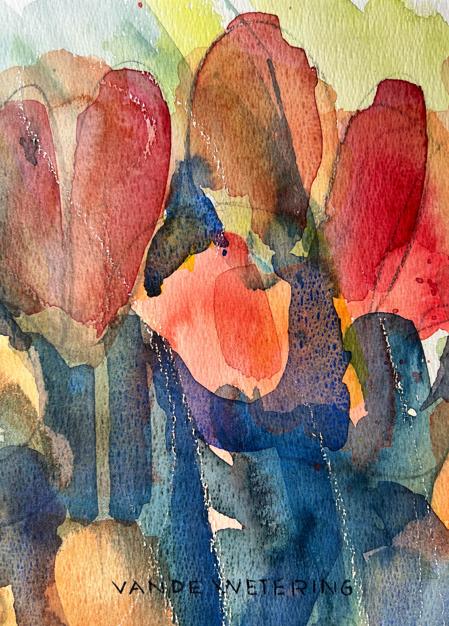 Kees van de Wetering - Tulipa - Red kopen? Bied vanaf 35!