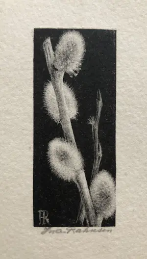 Ina Rahusen - Drie gesigneerde litho’s kopen? Bied vanaf 39!