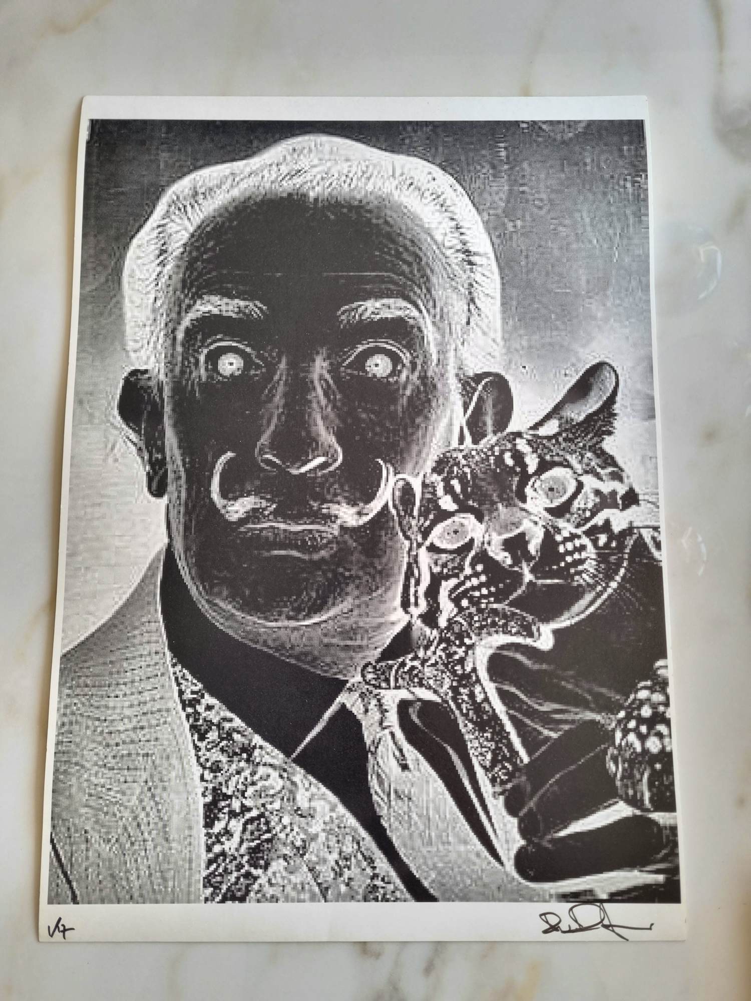 Niet of onleesbaar gesigneerd - Afbeelding Dali kopen? Bied vanaf 10!