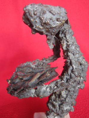 Niet of onleesbaar gesigneerd - Lust u nog 'n vissie? kopen? Bied vanaf 1!