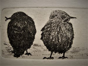 Niet of onleesbaar gesigneerd - Grafisch meesterwerkje - droge naald ETS "Musjes" gesigneerd en gedateerd kopen? Bied vanaf 1!