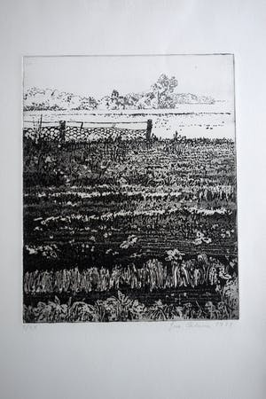 Jose Calsina - Het weiland kopen? Bied vanaf 50!