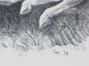 Ge Roling - Veulens - Litho kopen? Bied vanaf 1!