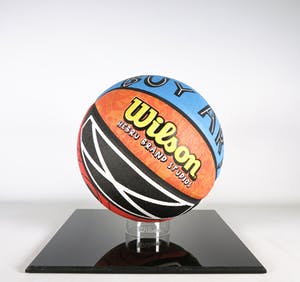 Hebru Brantley - Basketbal van Wilson & Hebru Brand Studios kopen? Bied vanaf 1!