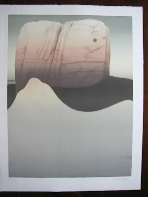 Alain Le Foll - Desert Rock I kopen? Bied vanaf 25!