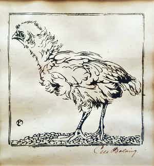 Cees Bolding - Kuiken verkocht voor € 75!