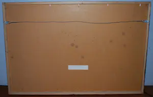 Karel Appel - Twee vogels - antiquarische druk uit de jaren 50 - mooi ingelijst kopen? Bied vanaf 150!