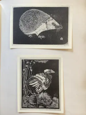 Jan Mankes - Boek 1923 - Zeldzame Gelimiteerde Uitgave kopen? Bied vanaf 700!