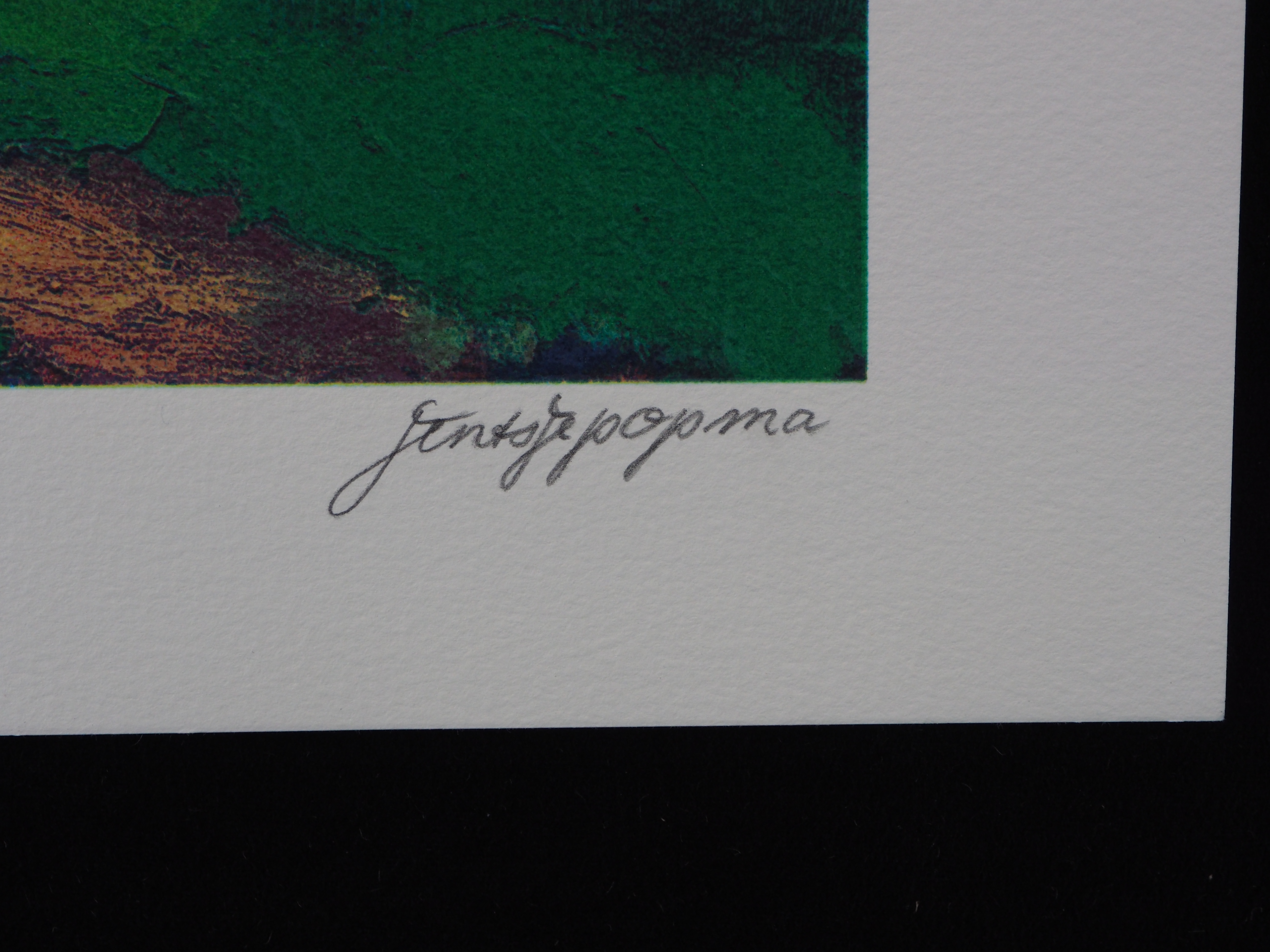 Jentsje Popma - Koolzaadveld met fluitekruid kopen? Bied vanaf 70!