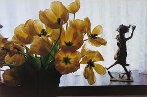 Marianne Dommisse - Foto, Tulpen in de vensterbank - Ingelijst kopen? Bied vanaf 1!