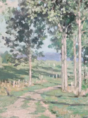 Anneke Boot - Zonnig heidelandschap met bomen kopen? Bied vanaf 180!