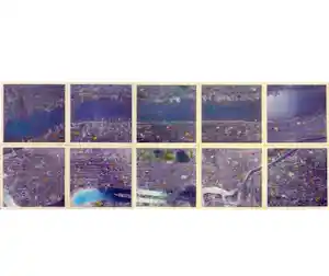 Alan Sonfist - „Views of Manhattan“ - (Set off 10) - Auflage von 100 - signiert verkauft für € 599!
