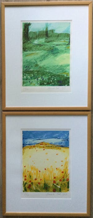 Annemiki Bok - Voorjaar & Zomer | set van 2 kleuren zeefdrukken - ingelijst kopen? Bied vanaf 69!