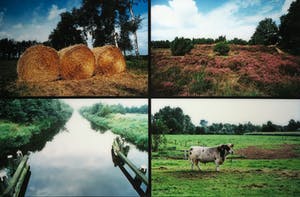 Paul Huf - C-Print, Natuur - Ingelijst (Groot) kopen? Bied vanaf 1!