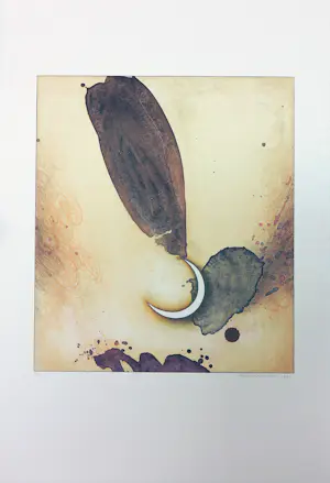 Jurjen Ravenhorst - & Mivrolav Potvic - Litho, Lot van 9 surrealistische voorstellingen kaufen? Bieten Sie von 100!