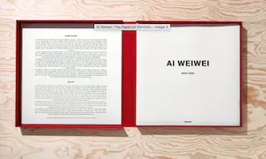 Ai Weiwei - The Papercut Portofolio kopen? Bied vanaf 27000!