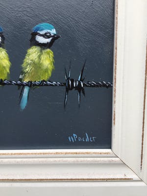 Henk Poeder - Mezen kopen? Bied vanaf 69!