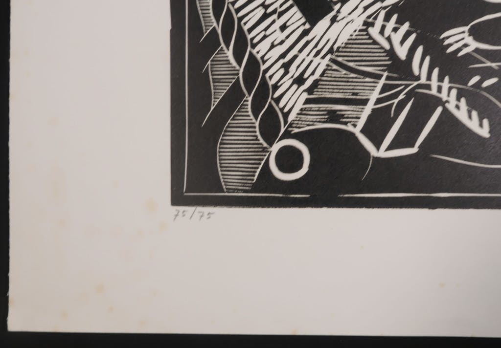 Thomas van der Linden - Thomas van der Linden: Lino, Catacombe des inconnues kopen? Bied vanaf 1!