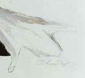 Octave Landuyt - Möwe – Seltener signierter und nummerierter Druck kopen? Bied vanaf 150!