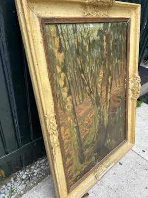 Onbekend - boom in bos kopen? Bied vanaf 50!