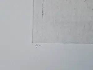 Jan Prins - in zeer kleine oplage (15) gemaakte droge naald Ets "johannes Brahms" gesigneerd kopen? Bied vanaf 56!