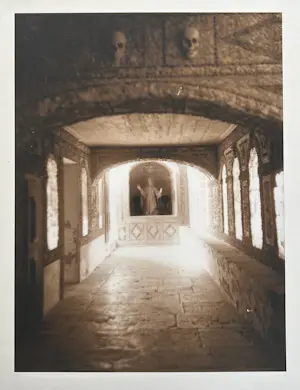 Betsy Green - Veniti Digni kopen? Bied vanaf 23!