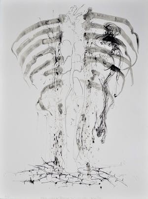 Marc Mulders - Anatomie VI (6) - Marc Mulders, Paul van Dongen en Reinoud van Vught, kopen? Bied vanaf 175!