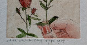 Arja van den Berg - ets: een roos in de tuin - 1984 kopen? Bied vanaf 45!