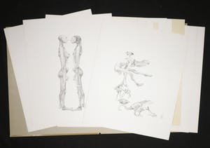 Melle Oldeboerrigter - Portfoliomap met 14 litho's, Melle kopen? Bied vanaf 35!