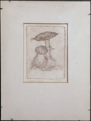 Niet of onleesbaar gesigneerd - Lot van vijf etsen, Dieren en planten - Ingelijst kopen? Bied vanaf 1!