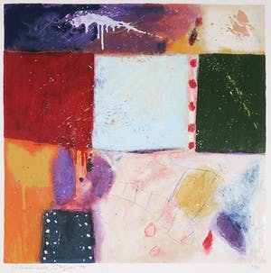 Alexander Vogels - Zeefdruk, Evolutions VII kopen? Bied vanaf 1!