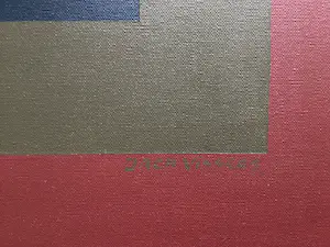 Jack Vissers - Illusio Optica Forma ( Quadrata) - acryl op canvas kopen? Bied vanaf 375!