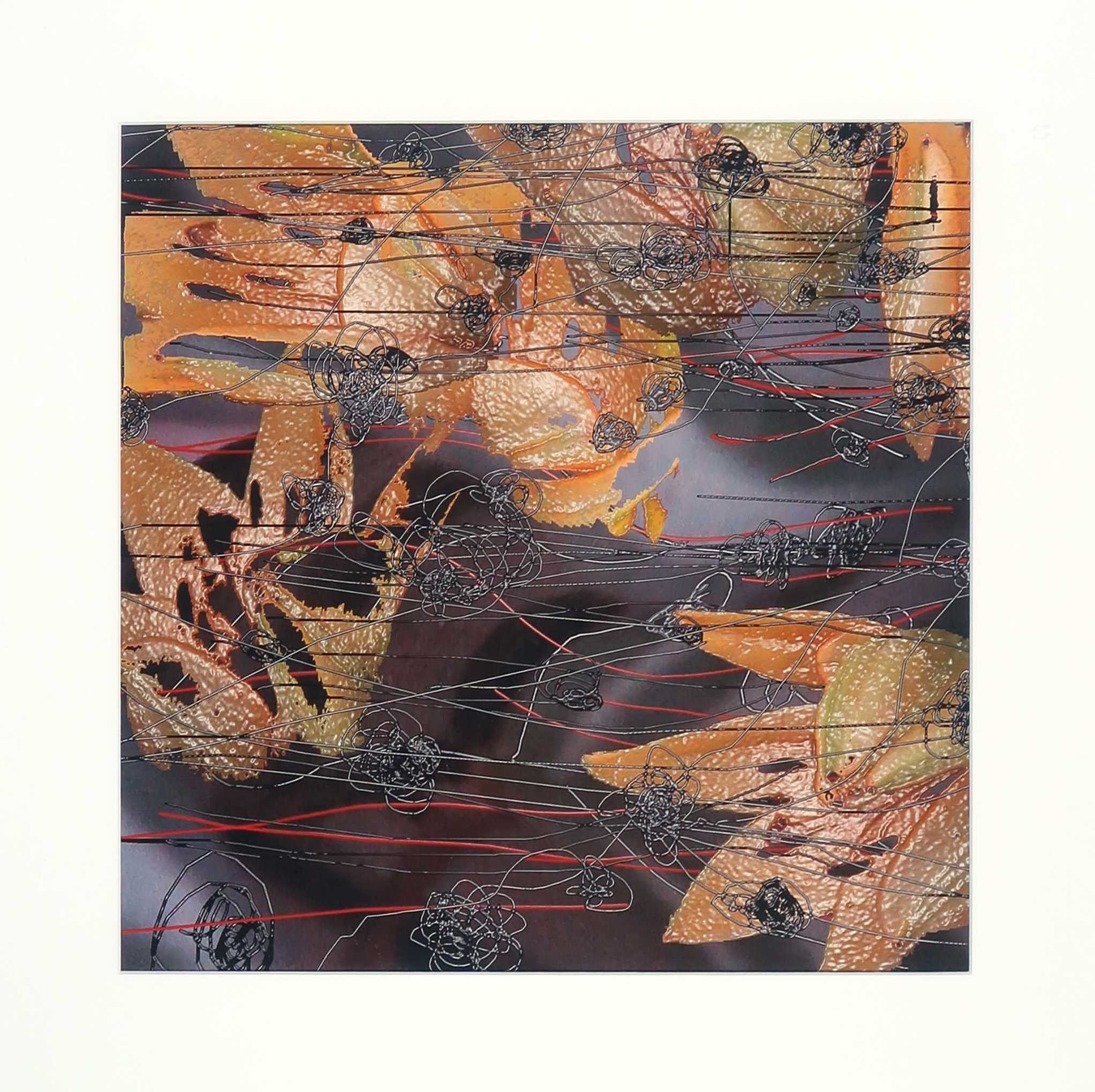 Reinoud van Vught - Foto, Herbarium - Ingelijst kopen? Bied vanaf 70!