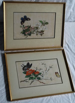 Niet of onleesbaar gesigneerd - 2 Oude ingelijste gouaches (?) op papier , Vlinders kopen? Bied vanaf 1!