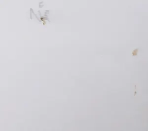 Nika Meerman - Ets en aquatint, Twee werelden van verschil (Groot) kopen? Bied vanaf 1!