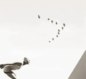 Mr Strange - De vlucht kopen? Bied vanaf 80!