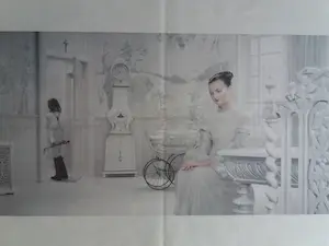 Erwin Olaf - The mother-Dawn, uitgave Het Parool kopen? Bied vanaf 1!