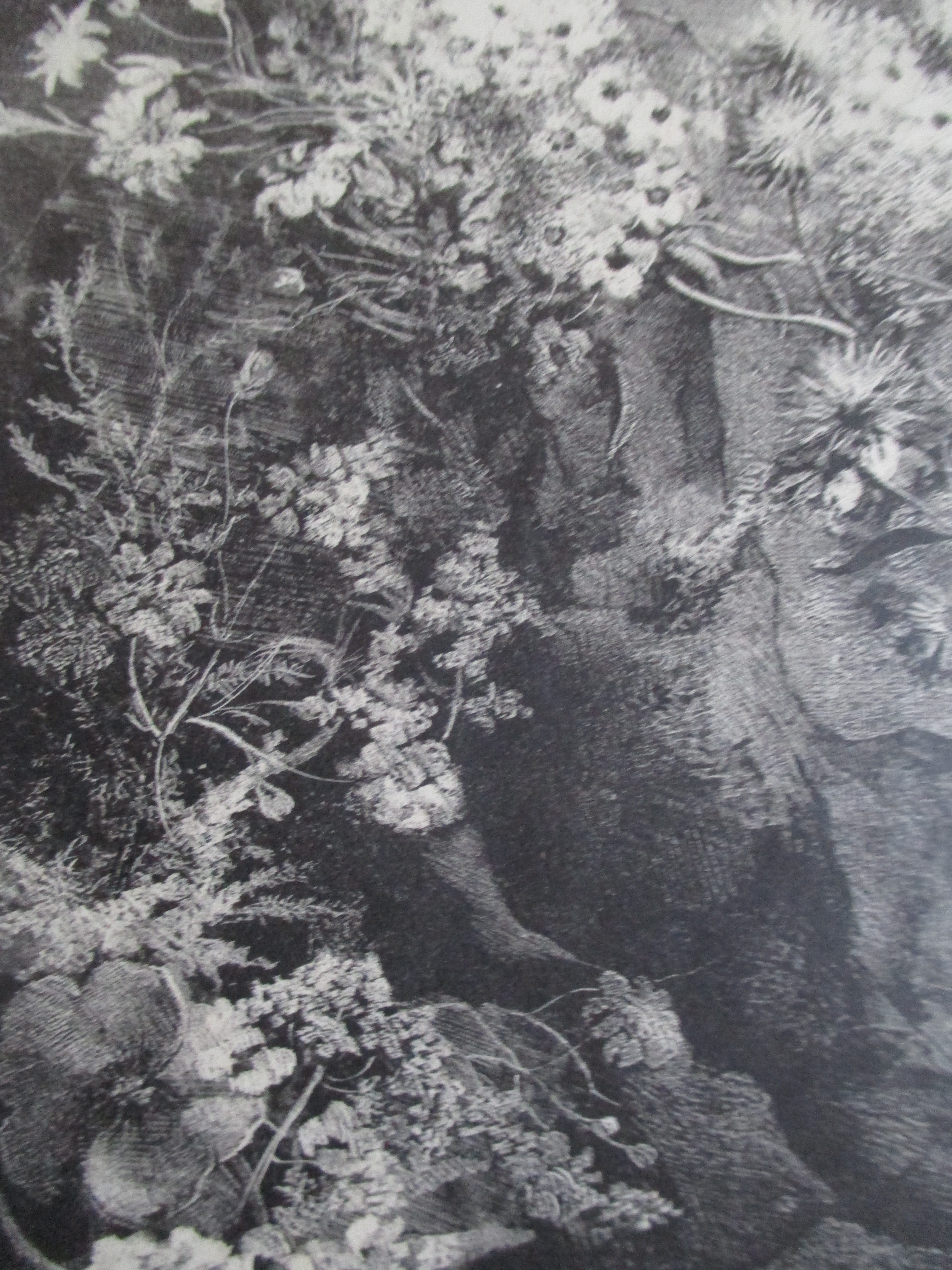 Aart van Dobbenburgh - Litho kopen? Bied vanaf 30!