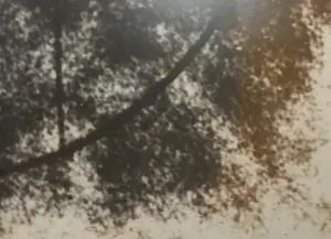 Jean van Wijk - Gemengde techniek op paneel, L. 1153 - Ingelijst (Zeer groot) kopen? Bied vanaf 1!