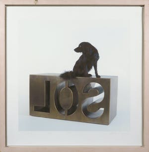 Marc Ruygrok - Piezografie, Sol Bob - Ingelijst kopen? Bied vanaf 1!