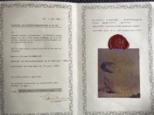 Gerrit Willem Dijsselhof - Kameleonvissen kopen? Bied vanaf 1000!