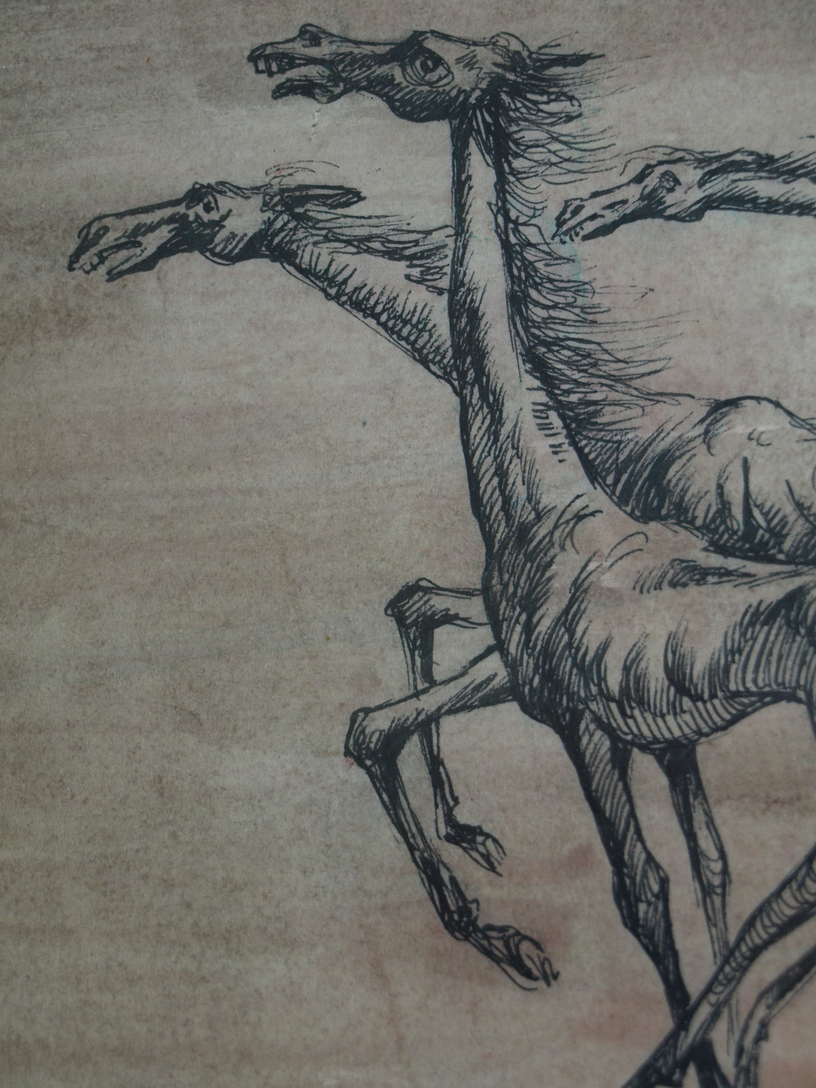 Klaas Pijlman - Pentekening , 3 Paarden – gesigneerd & ingelijst – 1966 kopen? Bied vanaf 35!