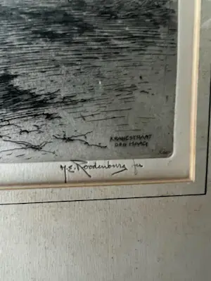 Hendrikus Roodenburg - Kranestraat te Den Haag kopen? Bied vanaf 1!