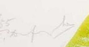 Pieter Defesche - Litho op papier, Zonder titel (Groot) kopen? Bied vanaf 1!