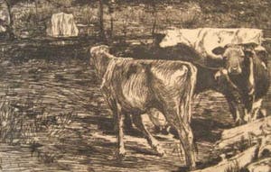 Willem de Zwart - Vier koeien in landschap. kopen? Bied vanaf 35!