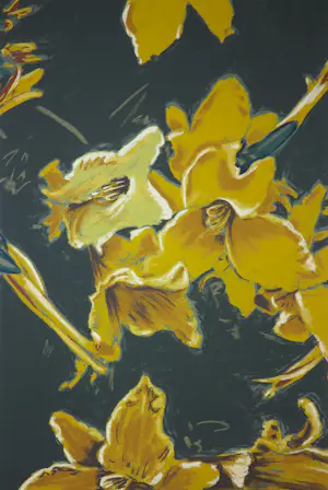 Rob Scholte - en andere! Map met handgesigneerde grafiek 'Het Art Finance Portfolio' kopen? Bied vanaf 1!