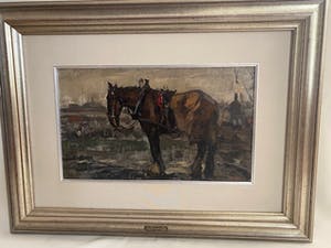 Cor Noltee - “Paard in het veld” kopen? Bied vanaf 800!